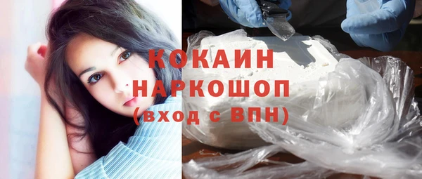 PSILOCYBIN Кулебаки