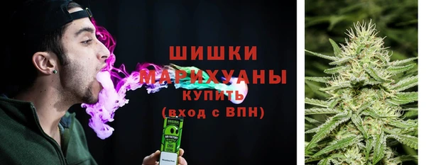 PSILOCYBIN Кулебаки
