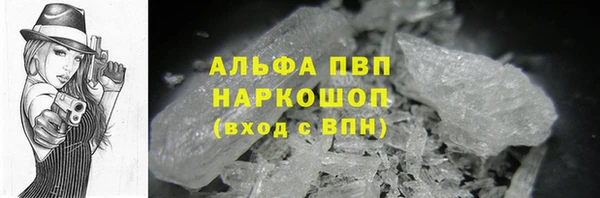 СК Куйбышев
