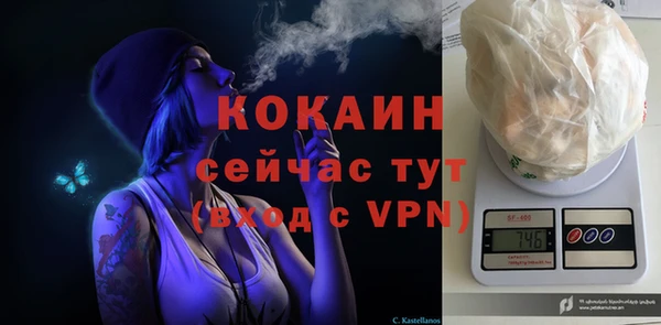 PSILOCYBIN Кулебаки