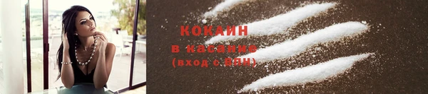 PSILOCYBIN Кулебаки