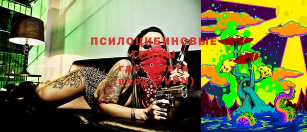 PSILOCYBIN Кулебаки