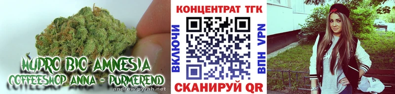 Купить где  Новоалександровск  ТГК THC oil 