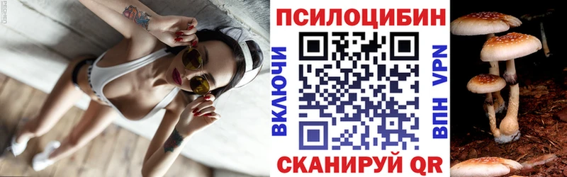 Псилоцибиновые грибы мухоморы  Купить закладки  Новоалександровск 